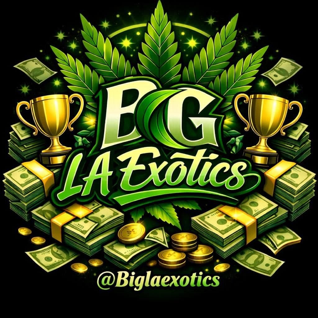 Big LA Exotics logo